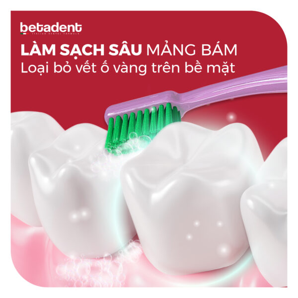 Bàn chải đánh răng BETADENT HARD TOOTHBRUSH - Ảnh 3