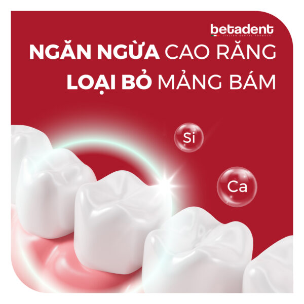 Kem đánh răng BETADENT GUMS hỗ trợ các vấn đề nướu lợi 100ml - Ảnh 7