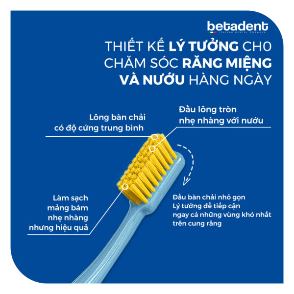 Bàn chải đánh răng BETADENT MEDIUM TOOTHBRUSH - Ảnh 2