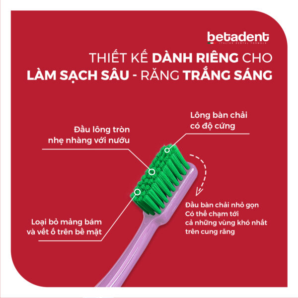 Bàn chải đánh răng BETADENT HARD TOOTHBRUSH - Ảnh 2